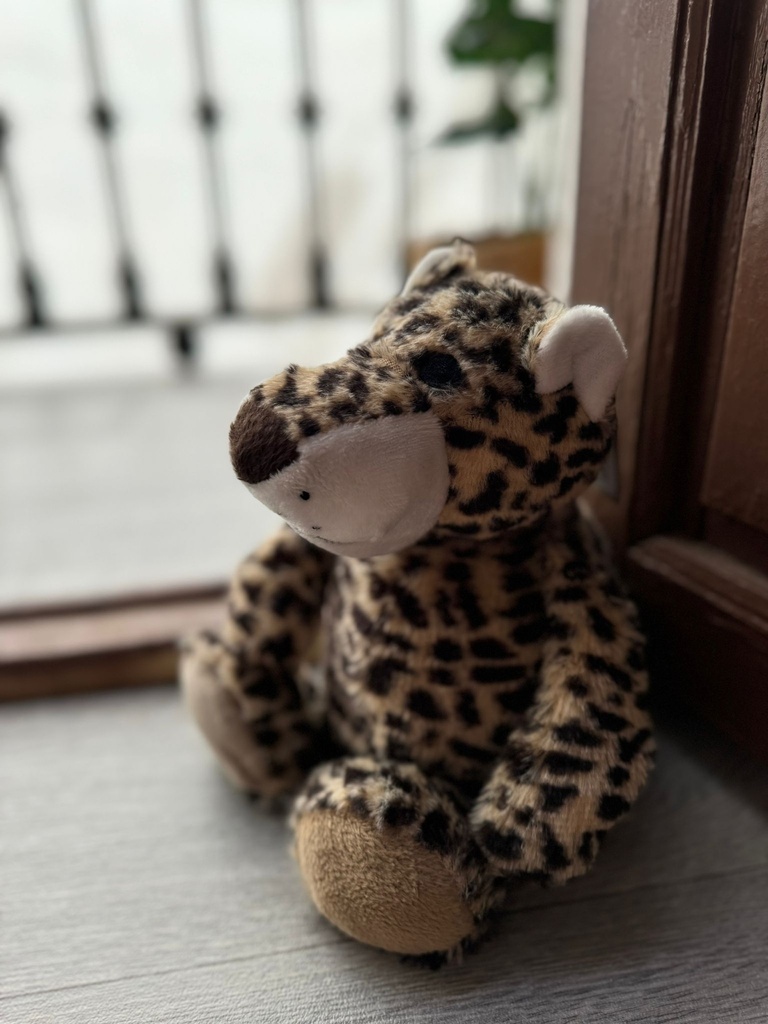 Sujetapuertas Leopardo