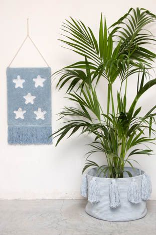 Cesta Chumbera Celeste