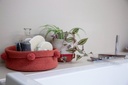 Cesta Tapón Rojo