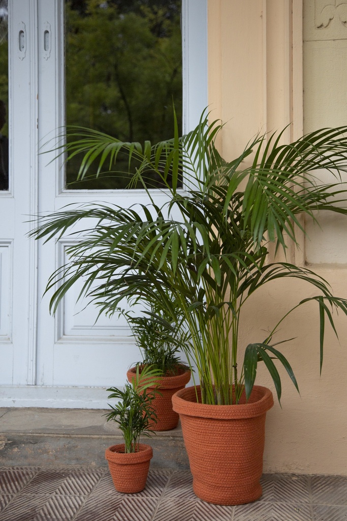 Maceta Cesta