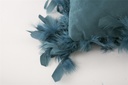Cojín Plumas