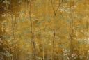Papel de Pared Hojas
