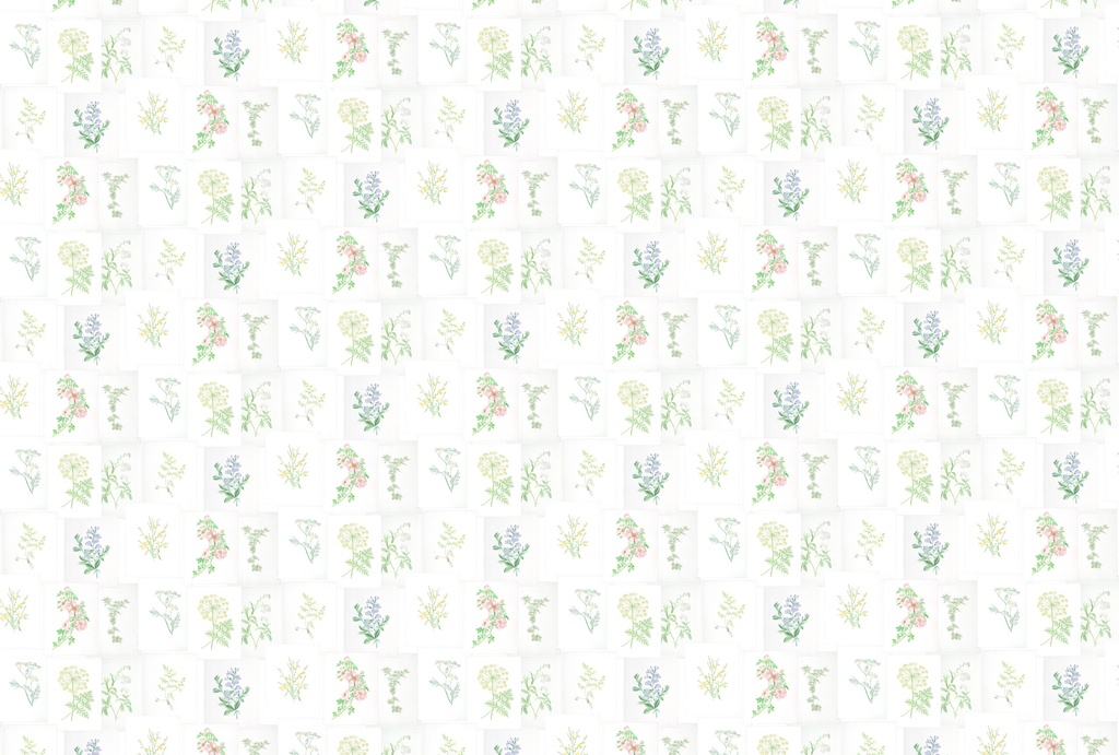 Papel de Pared Botánico
