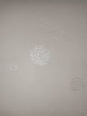 Papel de Pared Lucero