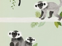 Papel de Pared Monos