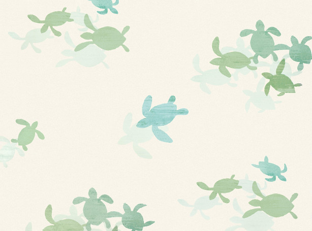 Papel de Pared Tortugas