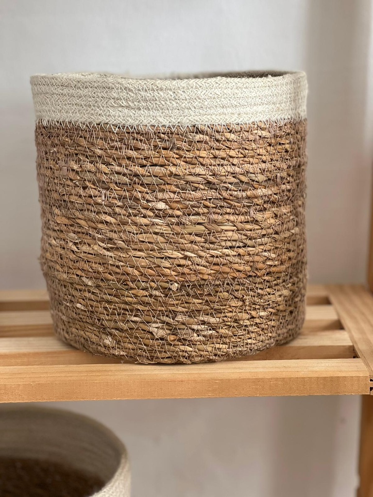 Cesta Hampi