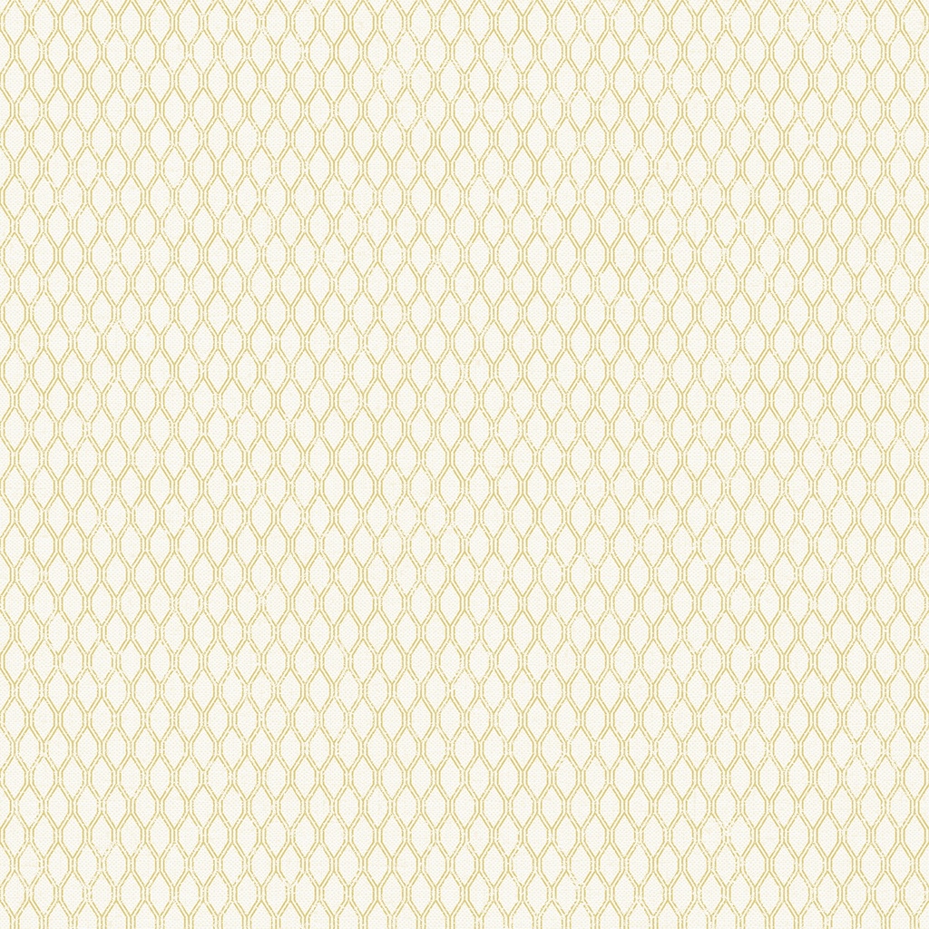 Papel Pintado Rejas