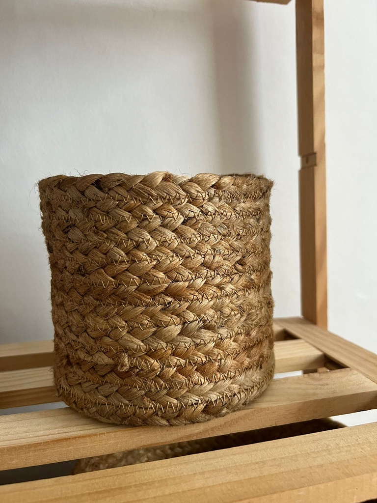 Cesta Ronan