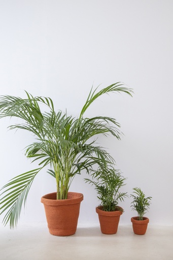 Cesta Maceta