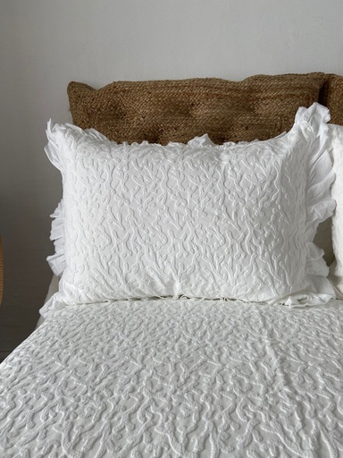 [R02AH0005] Funda de Almohadón Denver