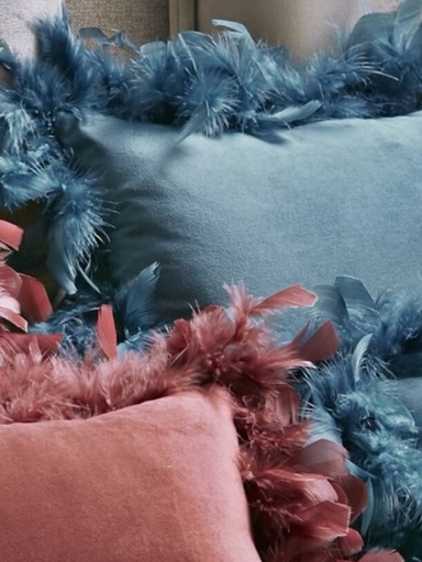 Cojín Plumas