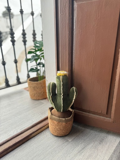 [V04SU0001] Sujetapuertas Cactus