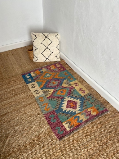 [C05AF0101.] Alfombra Kilim K25