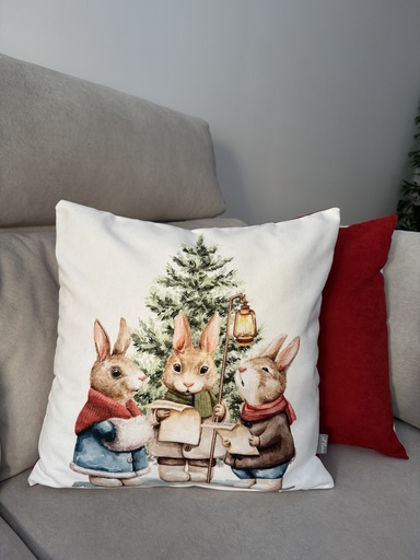 [C02CJ0008] Cojín Conejitos